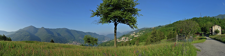 Vista panoramica da Padronecco 